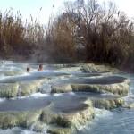 termesaturnia